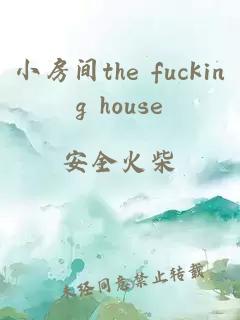 小房间the fucking house